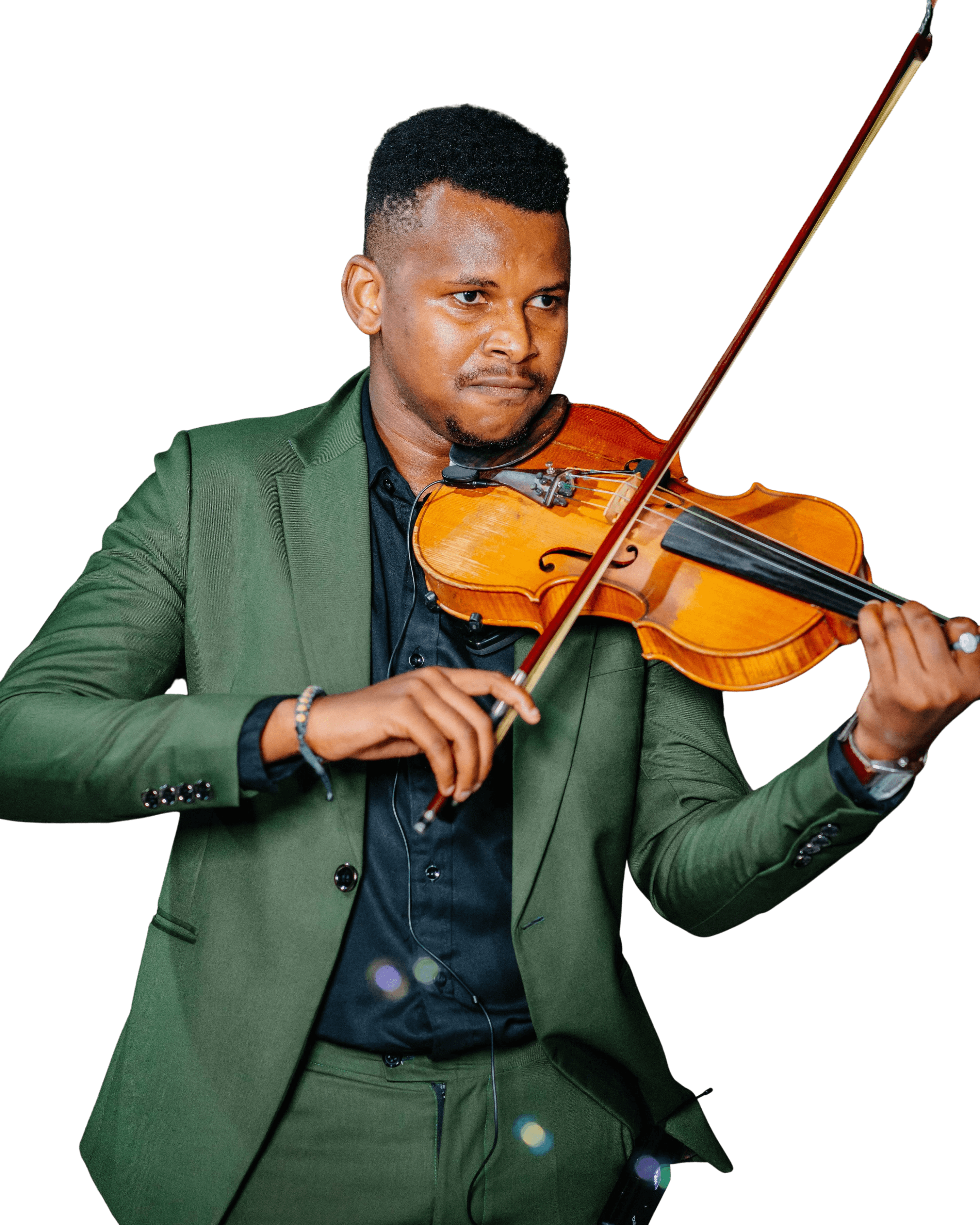 Sky Violin - Professional Violinist